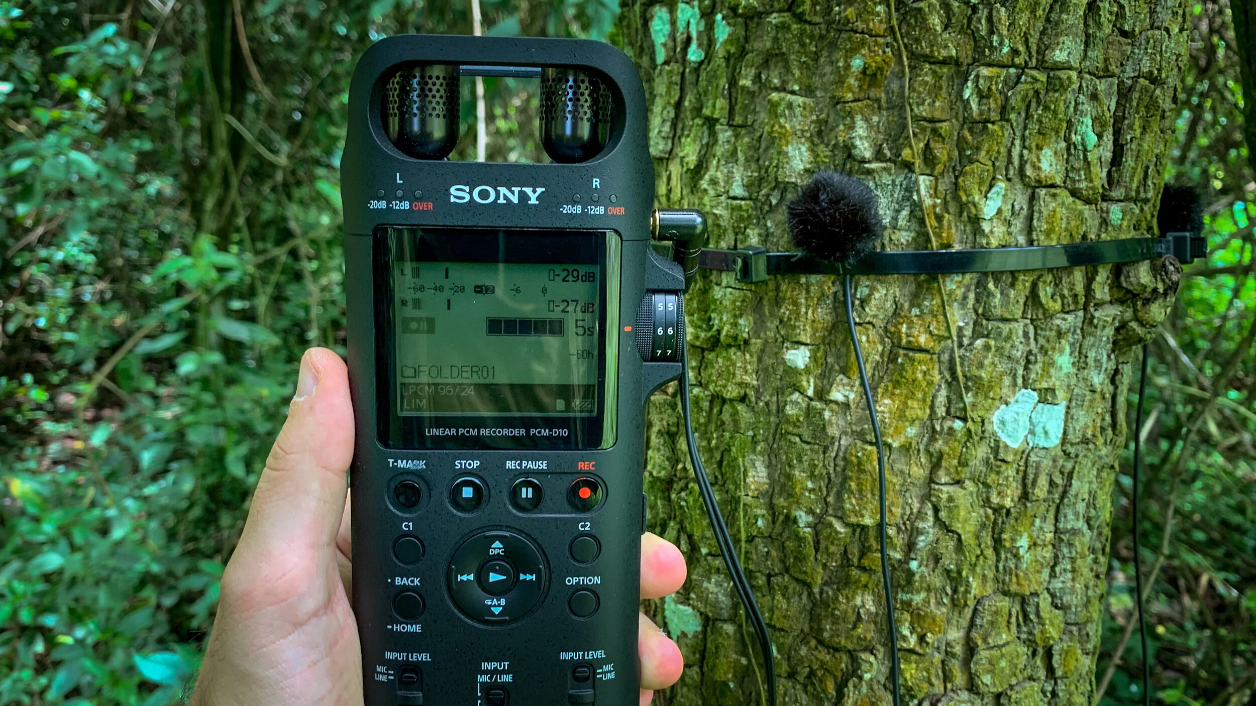 大特価 SONY PCM-D10 美品 agapeeurope.org